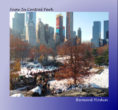 Snow In Central Park